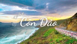 A54302B3 B63E 4De8 B524 Ac3421Eb3Ca8