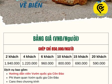 Tour thả rùa con về biển